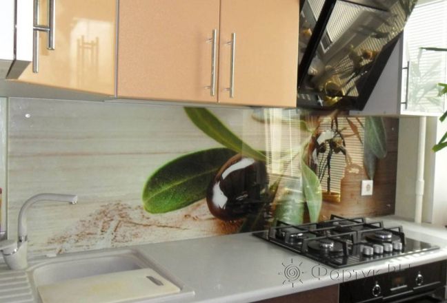 Фартук с фотопечатью фото: ветка оливы, заказ #S-1125, Коричневая кухня. Изображение 111836