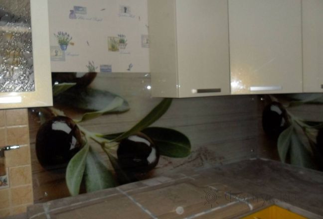 Фартук стекло фото: ветка оливы, заказ #S-1427, Оранжевая кухня. Изображение 111836