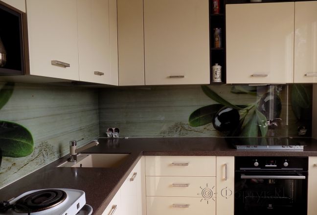 Фартук с фотопечатью фото: ветка оливы, заказ #УТ-659, Коричневая кухня. Изображение 111836