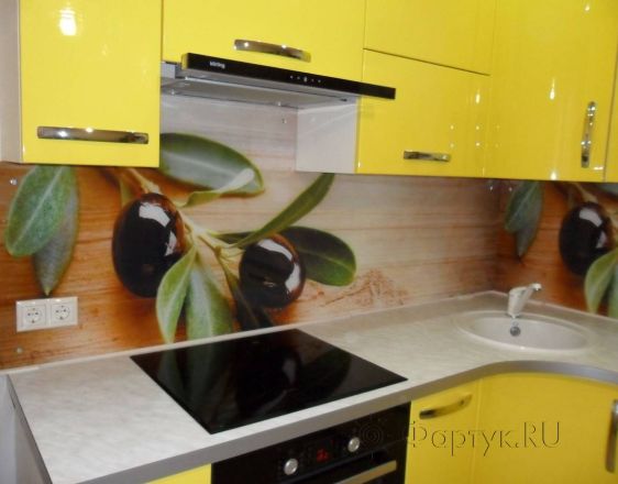 Скинали для кухни фото: ветка оливы , заказ #S-979, Желтая кухня.