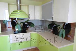 Скинали для кухни фото: ветки оливы., заказ #S-482, Зеленая кухня.