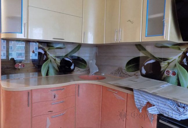 Фартук с фотопечатью фото: ветки оливы, заказ #УТ-353, Коричневая кухня. Изображение 111836