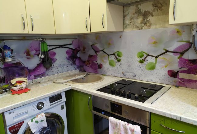 Скинали для кухни фото: ветки орхидеи, заказ #ИНУТ-7230, Зеленая кухня. Изображение 111312