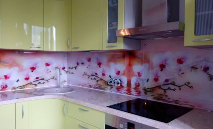 Скинали для кухни фото: ветки орхидеи над водой, заказ #УТ-897, Зеленая кухня.
