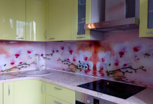 Скинали для кухни фото: ветки орхидеи над водой, заказ #УТ-897, Зеленая кухня. Изображение 111380