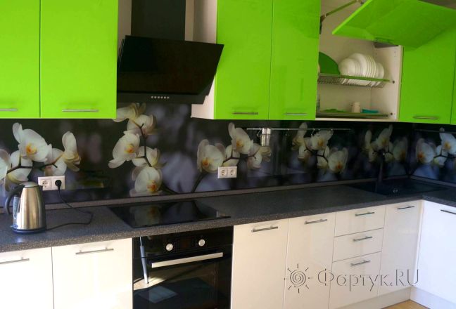 Скинали для кухни фото: веточки белых орхидей., заказ #S-441, Зеленая кухня. Изображение 112884