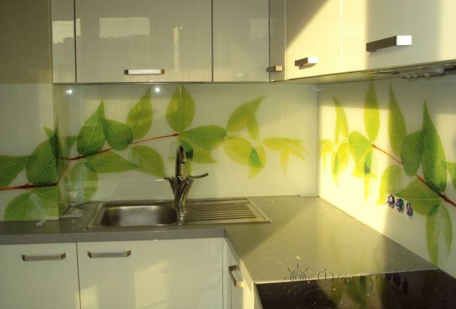 Фартук для кухни фото: веточки с зеленой листвой., заказ #НК-1106-4, Белая кухня. Изображение 111864