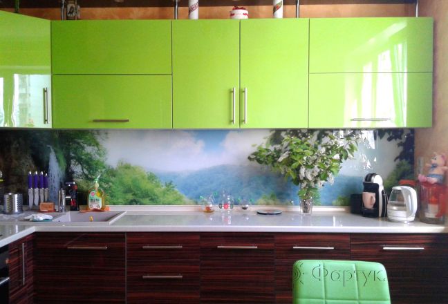 Скинали для кухни фото: водопад в хорватии, заказ #УТ-322, Зеленая кухня. Изображение 82710