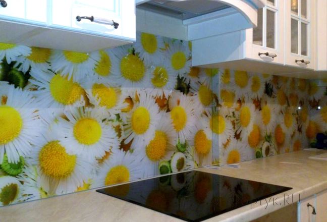 Фартук для кухни фото: яркие ромашки., заказ #SK-111, Белая кухня. Изображение 112962