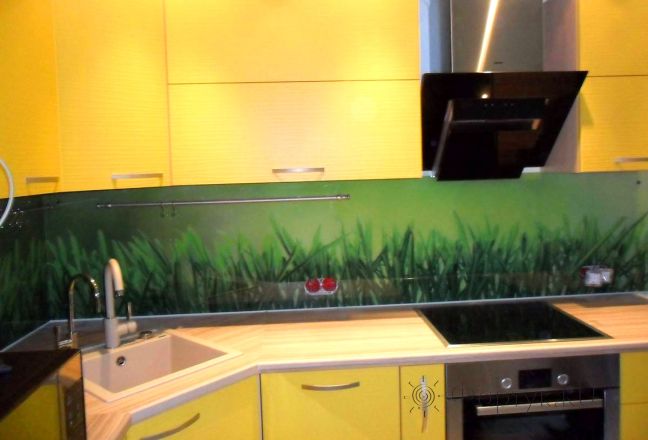 Скинали для кухни фото: зеленая трава, заказ #SN-49, Желтая кухня.