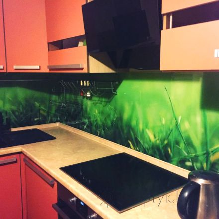 Фартук стекло фото: зеленая трава, заказ #УТ-845, Оранжевая кухня.