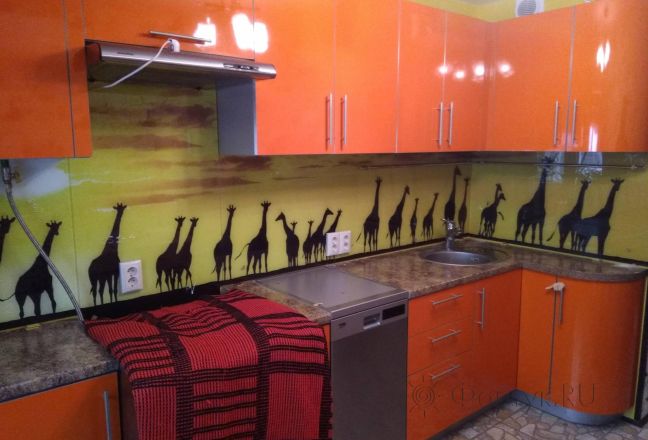 Фартук стекло фото: жирафы, заказ #ИНУТ-3472, Оранжевая кухня. Изображение 85324