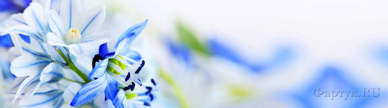 Скинали — Нежные голубые цветы