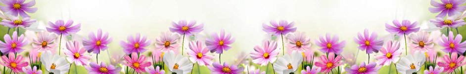 Скинали — Луговые цветы