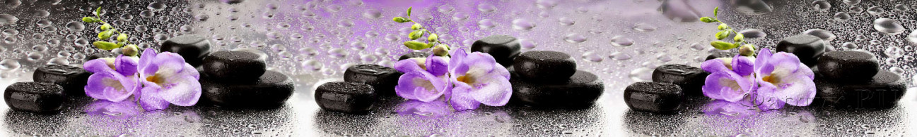 Скинали — Орхидеи, камни и капли дождя 