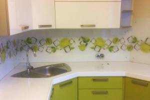Скинали для кухни фото: лаймы со льдом , заказ #S-13, Зеленая кухня.