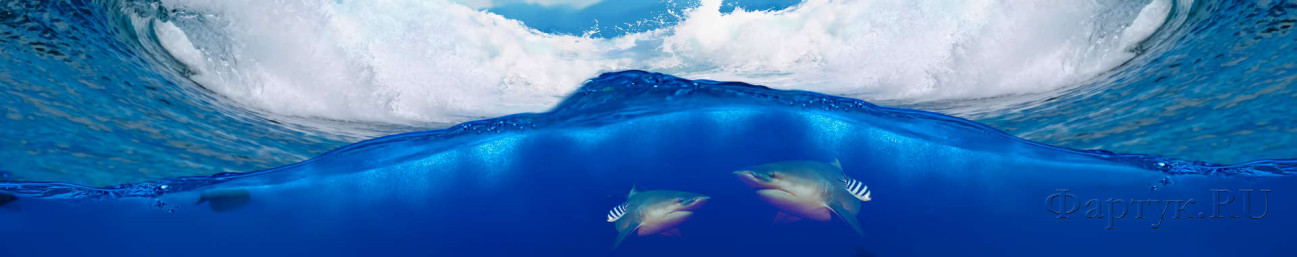 Скинали — Акулы, морская волна