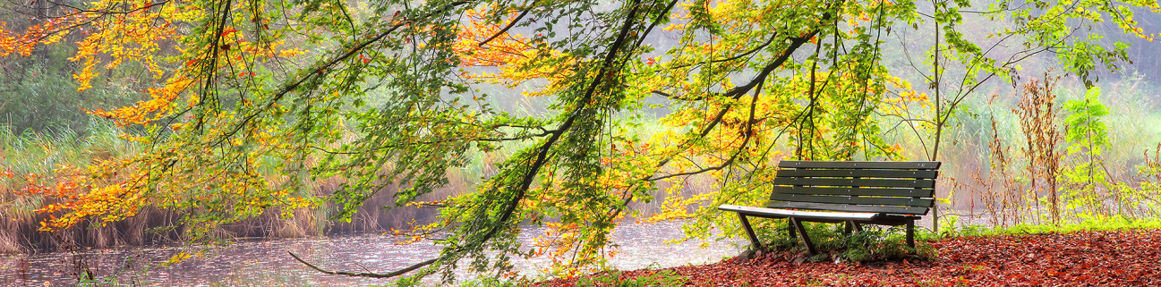Скинали — Осенний парк, Нидерланды