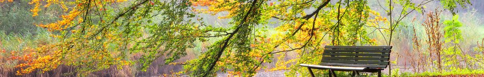 Скинали — Осенний парк, Нидерланды