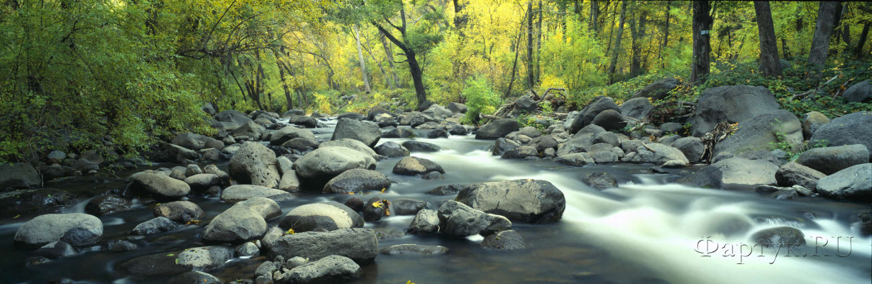 Скинали — Каменистая река в лесной чаще