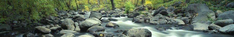 Скинали — Каменистая река в лесной чаще