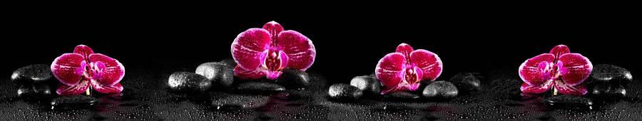 Скинали — Цветки орхидеи на черных камнях
