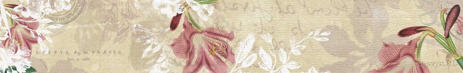 Скинали — Рисунок цветы