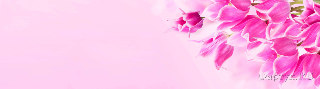 Скинали — Розовые тюльпаны на розовом фоне