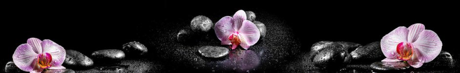 Скинали — Орхидеи на камнях в брызгах воды