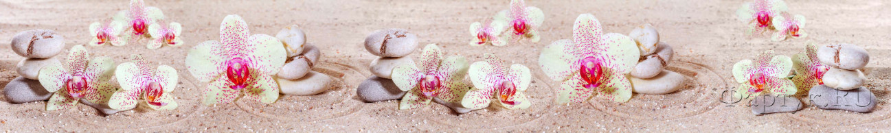 Скинали — Орхидеи в камнях на песке