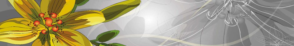Скинали — Рисунок желтая лилия на сером фоне