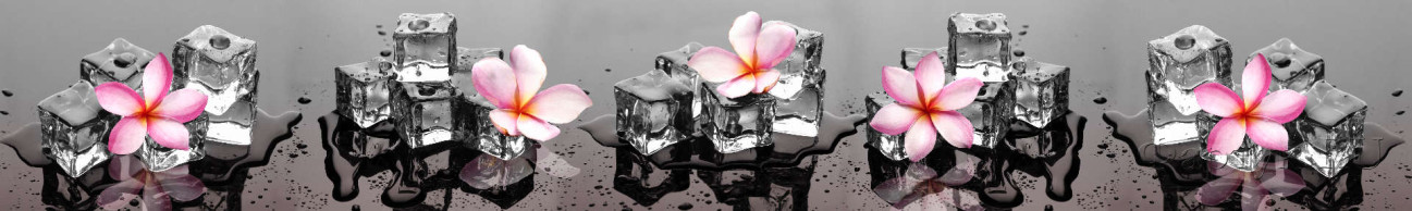 Скинали — Таящие льдинки и орхидеи на темном фоне 