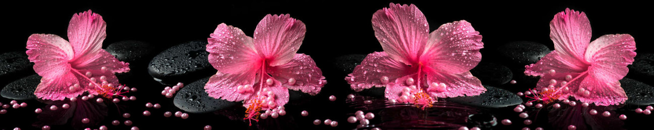 Скинали — Розовые цветы на кмнях