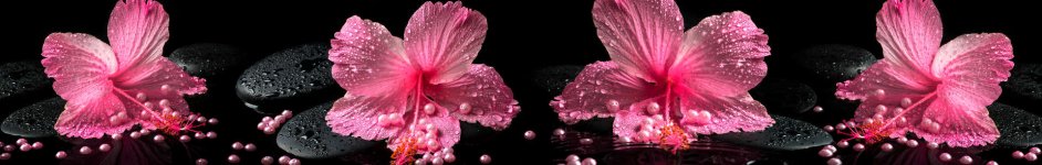 Скинали — Розовые цветы на кмнях