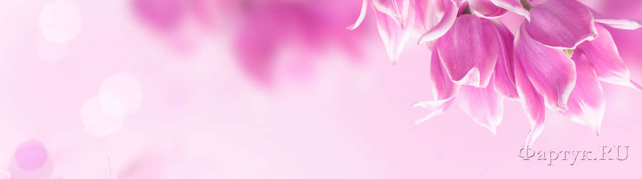 Скинали — Розовые тюльпаны
