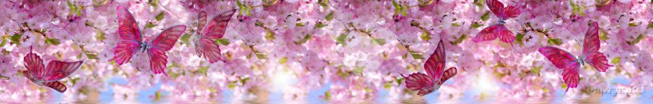 Скинали — Бабочки в цветы сакуры