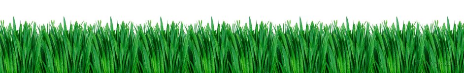 Скинали — Крупная трава