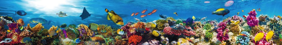 Скинали — Подводный мир-красочные рыбки и водоросли