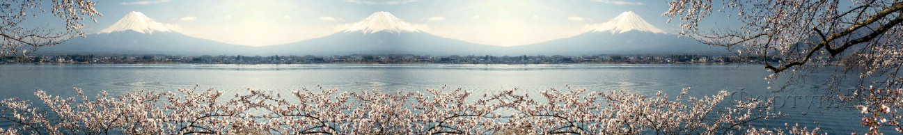 Скинали — Великолепный вид японской весны