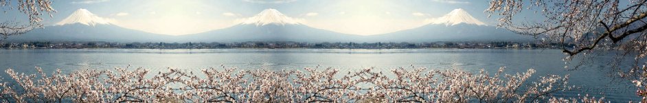 Скинали — Великолепный вид японской весны