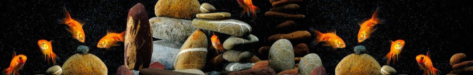 Скинали — Золотые рыбки и камни 