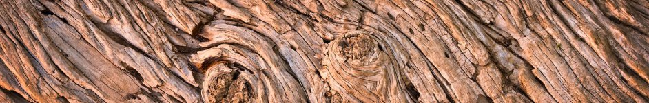 Скинали — Текстура дерева