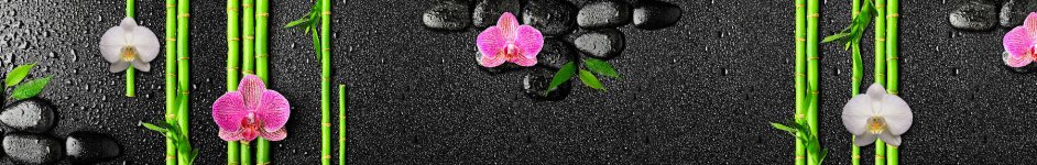 Скинали — Орхидеи на камнях