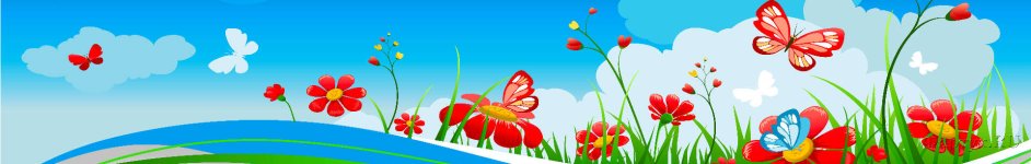 Скинали — Рисунок цветочки и бабочки