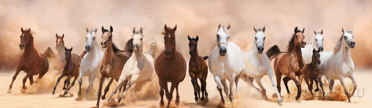 Скинали — Бегущие лошади
