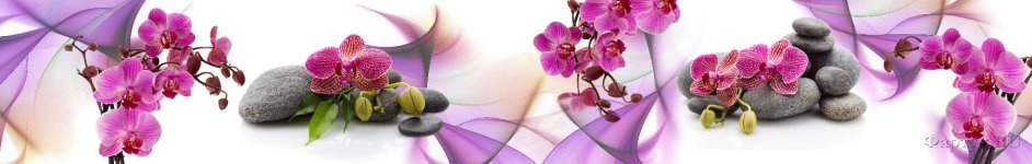 Скинали — Ароматная орхидея на камнях 