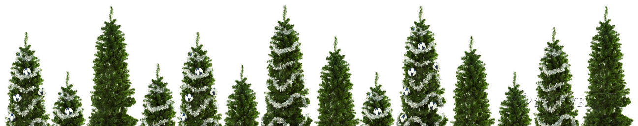 Скинали — Рождественские елки