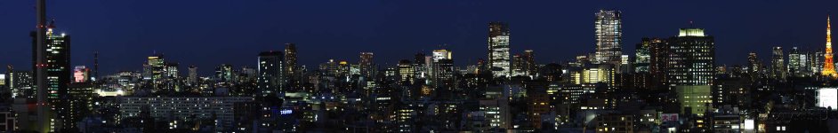Скинали — Ночной Токио в фиолетовом цвете
