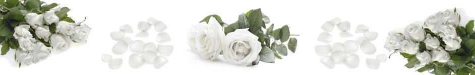 Скинали — Белые розы