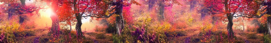 Скинали — Живописный восход солнца в прекрасном лесу